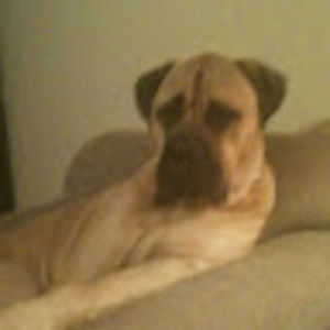 Meet your Posher, Patrick